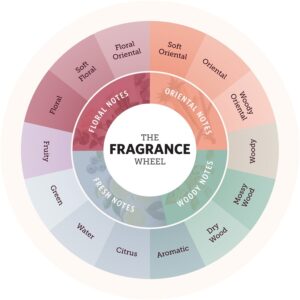 Understanding-the-Different-Types-of-Fragrances-aromazine-London.jpg